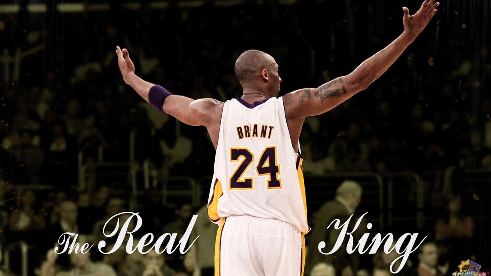 爵士队新援融入良好,期待突破,爵士队新闻