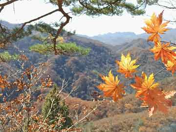 星空电竞平台-全国青少年铁人三项比赛奥运新宠，铁人三项青少年组